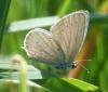 71474 – Photo : Laurent Palussiere – France (58)