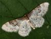 71769 – Photo : Pelouard – France (72)