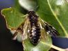 71646 – Photo : Vincent Derreumaux – France (84)