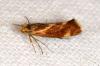 71060 – Photo : Paul Cabrol – France (09)