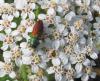 71374 – Photo : Sylvain Fadda – France (13)