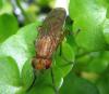 71640 – Photo : Elisabeth A. Harris – Royaume-Uni