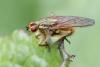 71926 – Photo : Gilles SALAMA – France (12)