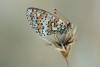 71777 – Photo : Olivier Reisinger – France (83)