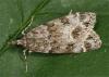 71840 – Photo : Pelouard – France (72)