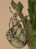 71224 – Photo : Bernard BOHER – France (09)