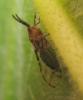 71609 – Photo : Axel Dehalleux – France (93)