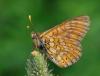 71307 – Photo : Robert Henno – France (84)