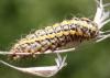 72650 – Photo : Eric SYLVESTRE – Andorre