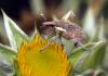 72483 – Photo : Vincent Derreumaux – France (11)