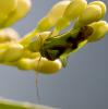 72450 – Photo : Pierre Duhem – France (75)