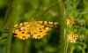72454 – Photo : Pierre Duhem – France (74)