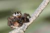 72121 – Photo : henri maleysson – France (20)