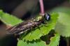 72700 – Photo : Christophe Quintin – France (21)