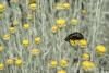 72356 – Photo : Michel Renou – France (13)