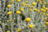 72361 – Photo : Michel Renou – France (13)
