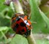 72889 – Photo : deedee – France (69)