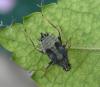 72095 – Photo : Axel Dehalleux – France (00)