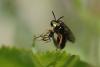 72425 – Photo : jdeuxf – France (28)
