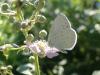 72538 – Photo : OCIS – France (04)