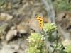 72556 – Photo : OCIS – France (04)