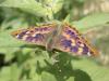 72537 – Photo : OCIS – France (04)