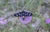 72540 – Photo : OCIS – France (04)