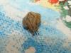 72665 – Photo : Patrice Chaverot – France (69)