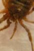 72047 – Photo : Nicolas Alric – France (12)
