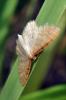72359 – Photo : Christophe Quintin – France (21)