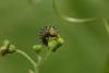72212 – Photo : Vero a – France (46)