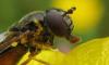 72495 – Photo : Elisabeth A. Harris – Royaume-Uni