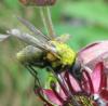72725 – Photo : Elisabeth A. Harris – Royaume-Uni