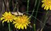 72778 – Photo : Jean Maurette – France (20)