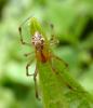 72215 – Photo : Eric Picollet – France (73)