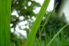 72441 – Photo : Alexandre C. – France (31)