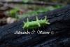 72462 – Photo : Alexandre C. – Thaïlande