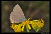 72004 – Photo : Christophe Quintin – France (21)
