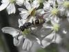 72030 – Photo : Pascal Pertuzon – France (42)