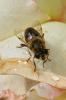 73290 – Photo : Nicolas Alric – France (12)