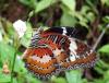 73829 – Photo : X.leen – Thaïlande