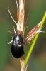 73131 – Photo : Christophe Quintin – France (21)