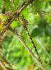 73051 – Photo : Noushka – France (31)