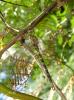 73050 – Photo : Noushka – France (31)