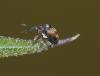 73444 – Photo : P. Boudier – France (28)