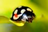 73490 – Photo : Fabien13 – Kenya