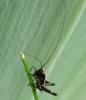 73080 – Photo : deedee – France (69)
