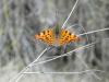 73410 – Photo : OCIS – France (04)