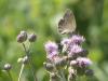 73342 – Photo : OCIS – France (05)