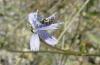 73406 – Photo : OCIS – France (05)